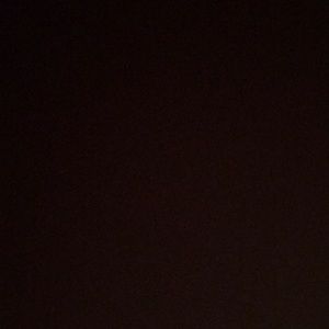 Meet your Posher, Brooklyn